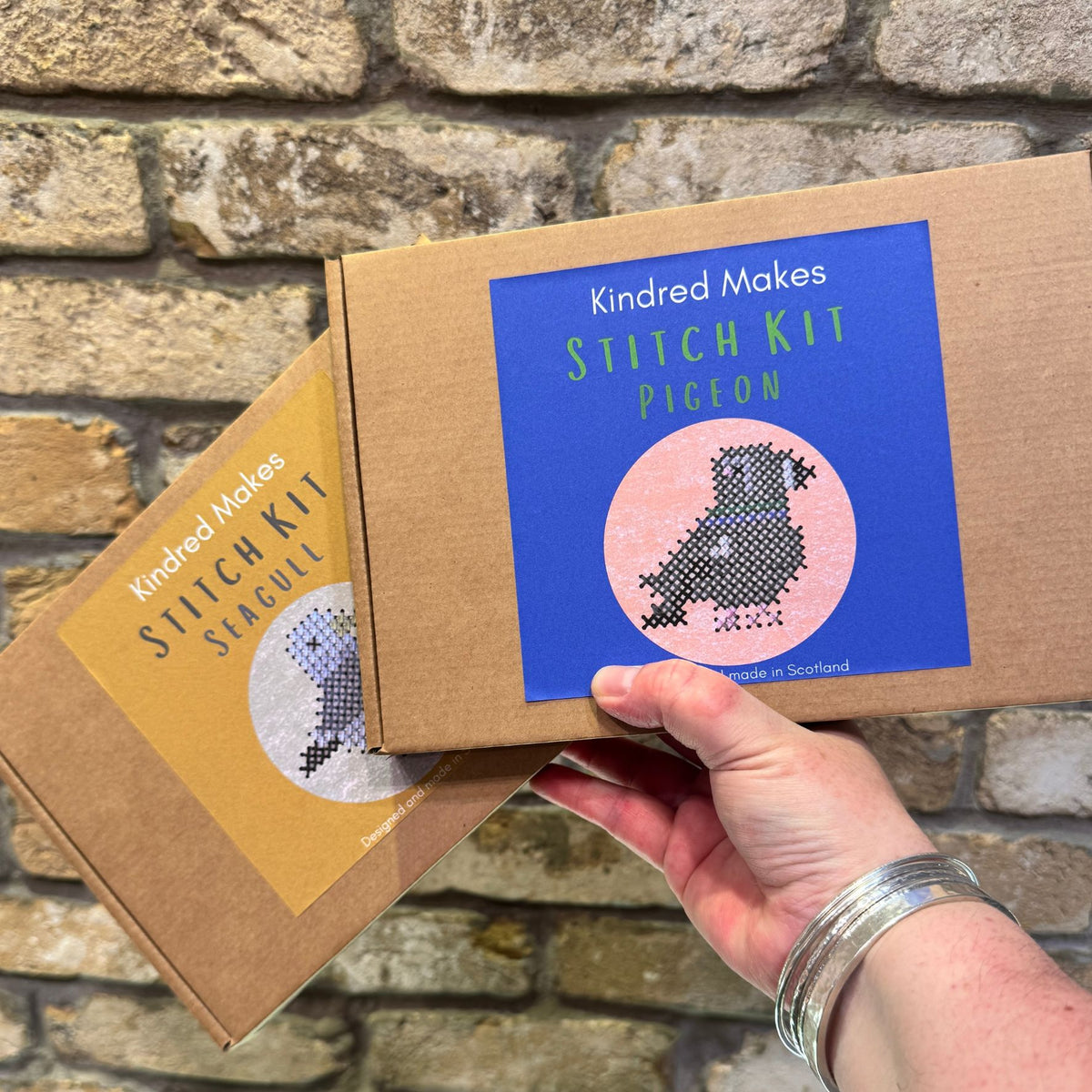 Pigeon Wooden Stitch Kit
